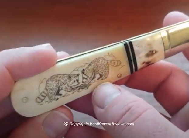 Marbles Knives, Wildlife Scrimshaw, GrandDaddy, grand daddy, Barlow, Raccoons, Knife Review, MR255, Grand Daddy Barlow Raccoons Knife,