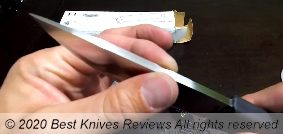 https://bestknivesreviews.com/wp-content/uploads/2021/08/Fallkniven-F1Z-spine.jpg