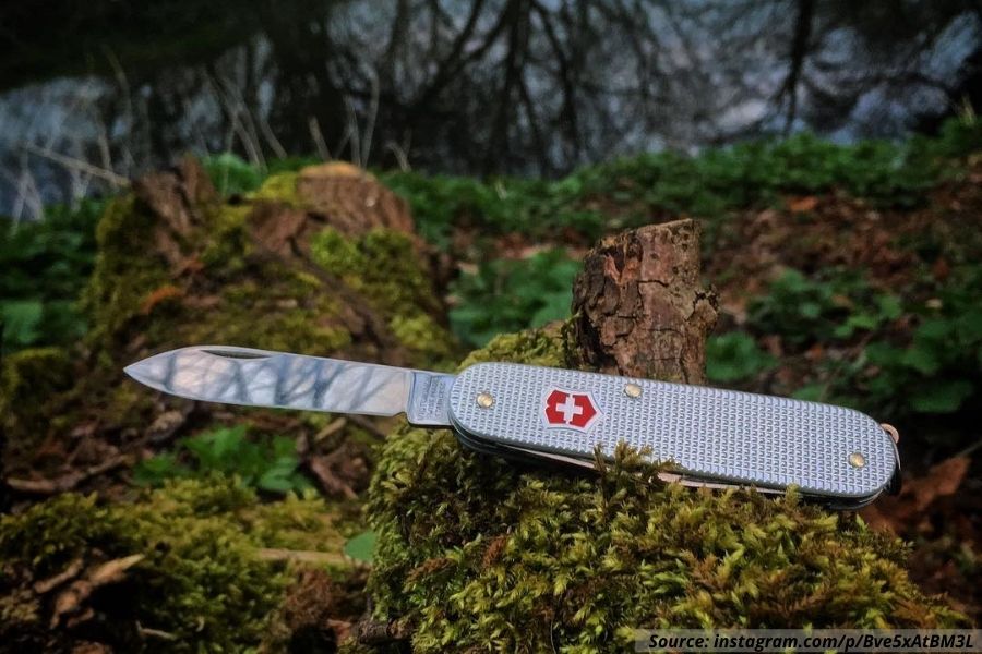 Victorinox Alox Cadet, Victorinox Cadet, Swiss Army knife, Victorinox Cadet Alox, Victorinox Alox Cadet Review