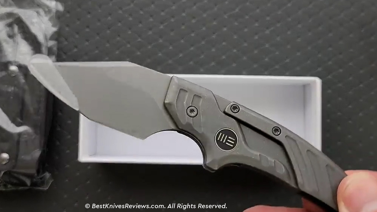 First Impressions & Unboxing of WE Knife Typhoeus