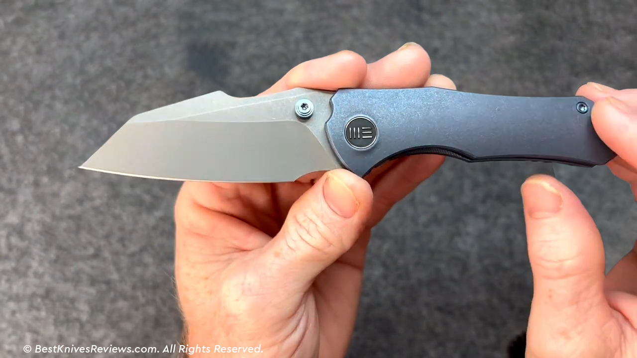 First Impressions of WE Knife High-Fin