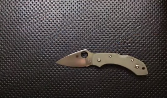 Spyderco Dragonfly Review