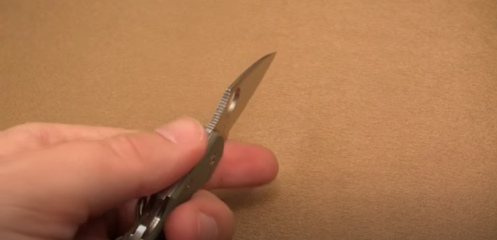 Spyderco Dragonfly blade thickness