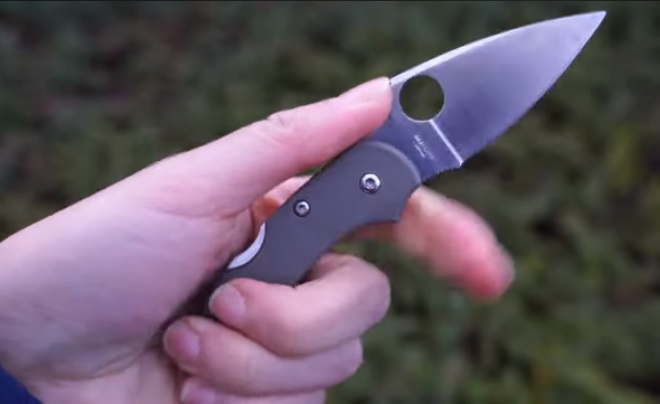 Spyderco Dragonfly