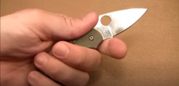 Spyderco Dragonfly grip