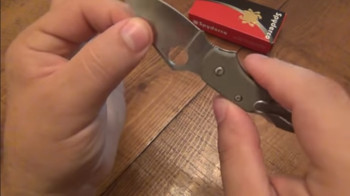 Spyderco Dragonfly lock