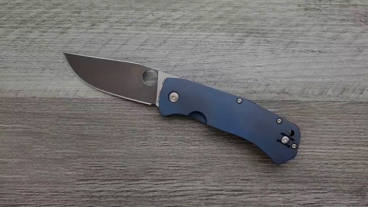 Spyderco Slysz Bowie Knife