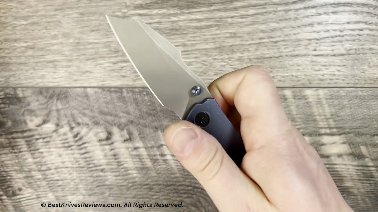 The Deployment & Lockup of WE Knife High-Fin