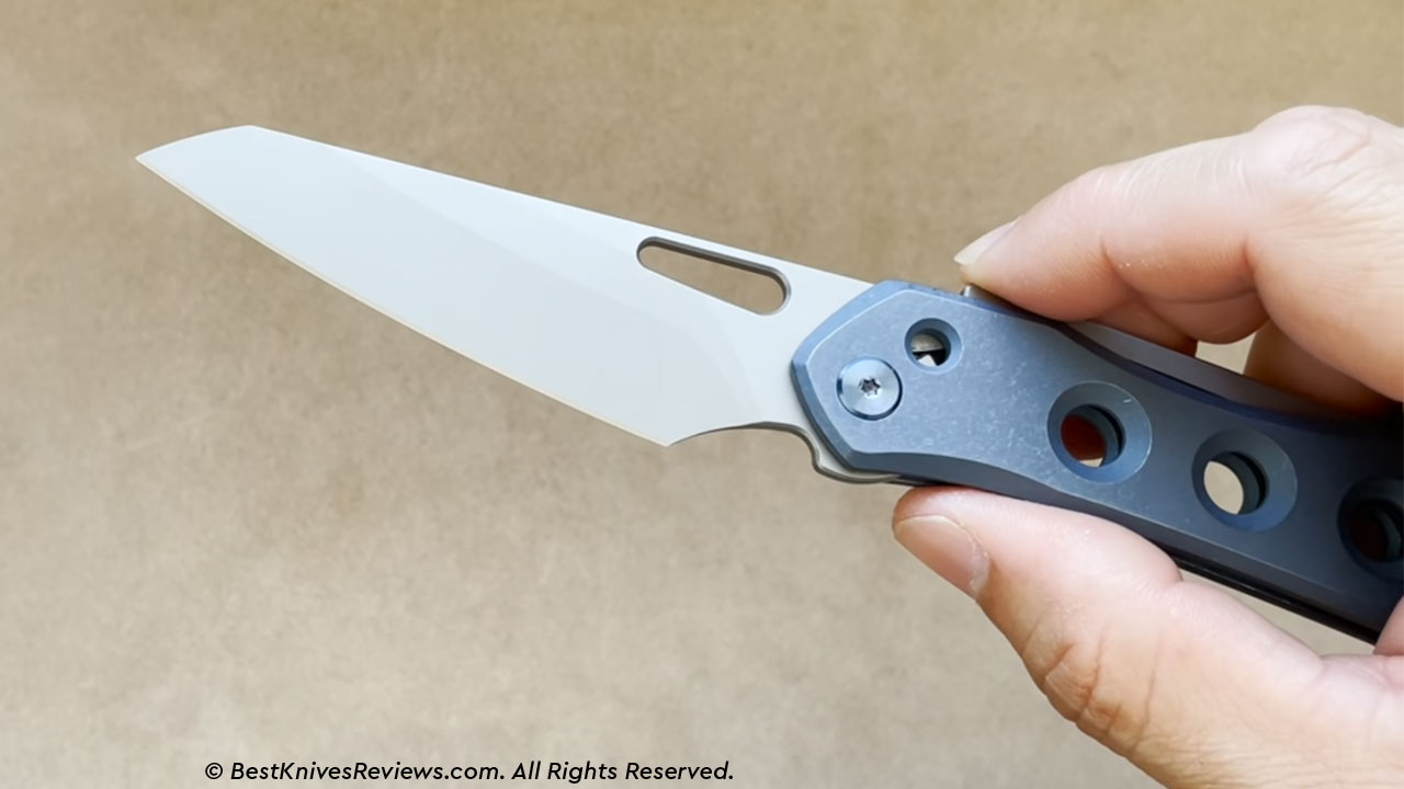 WE Knife Vision R Review 1